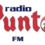 Logotipo PuntoFM Señal 2